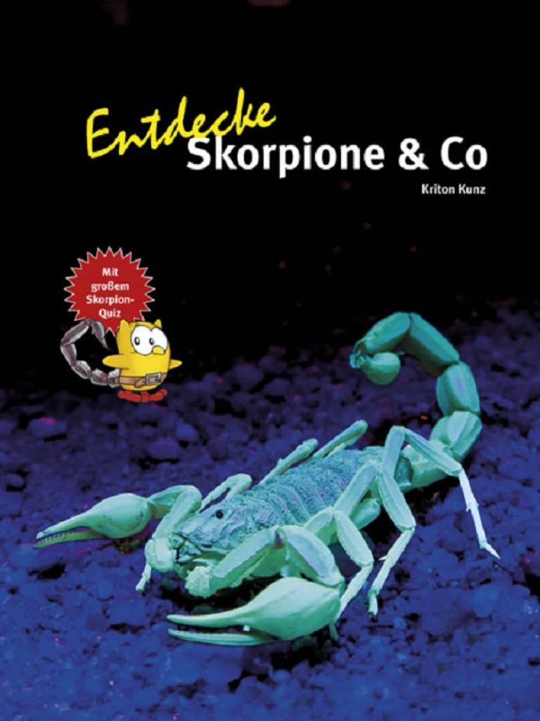 Entdecke Skorpione & Co